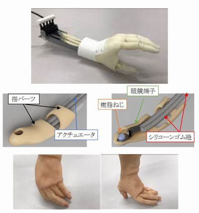 ��C�œ����q���p�_�炩�`��